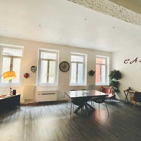 Loft Casa Wi Hyper Centre - Parking-clim