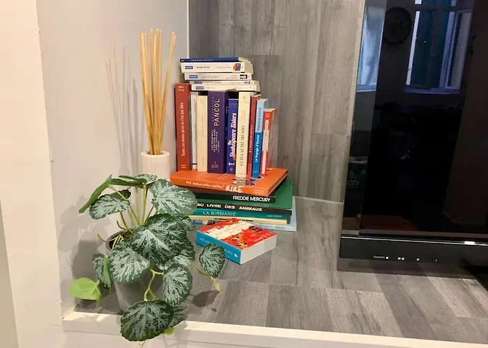 Loft Casa Wi Hyper Centre - Parking-clim Perpignan